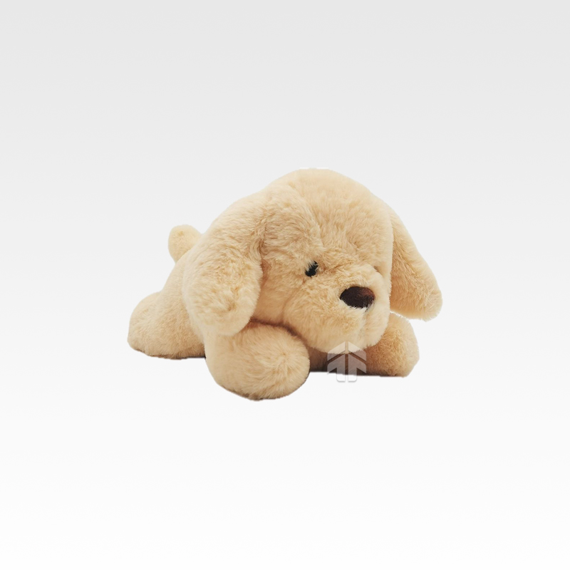 Push Toys