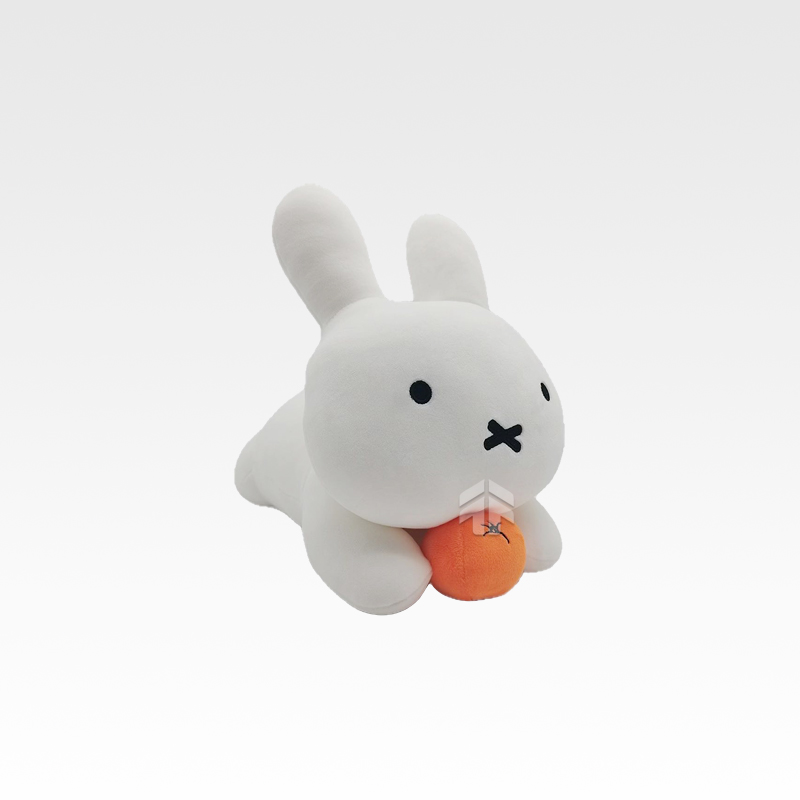 Push Toys